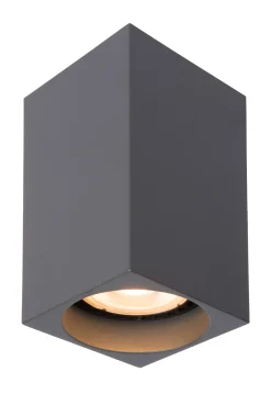 DELTO - Plafondspot - LED Dim to warm - GU10 - 1x5W 2200K/3000K - Grijs*Lucide Best Sale