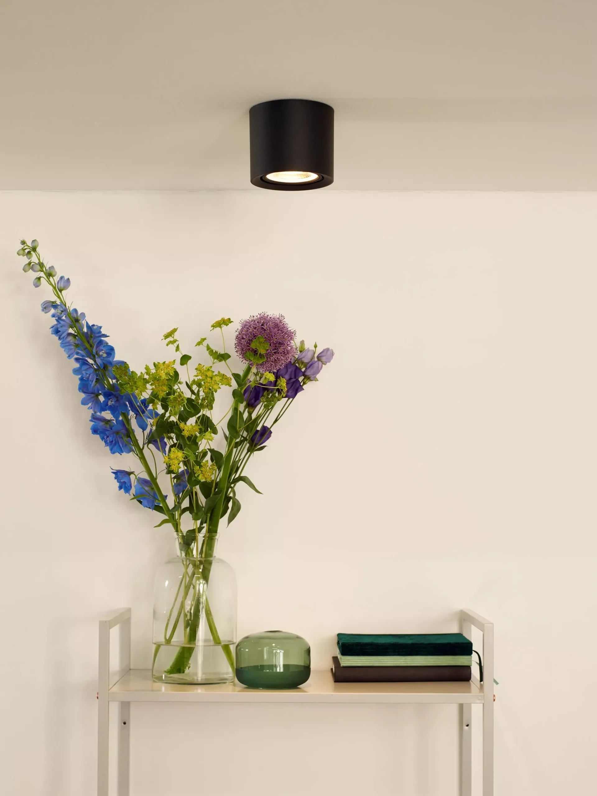 FEDLER - Plafondspot - Ø 12 cm - LED Dim to warm - GU10 (ES111) - 1x12W 2200K/3000K - Zwart*Lucide Outlet
