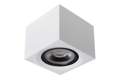FEDLER - Plafondspot - LED Dim to warm - GU10 (ES111) - 1x12W 2200K/3000K - Wit*Lucide Hot