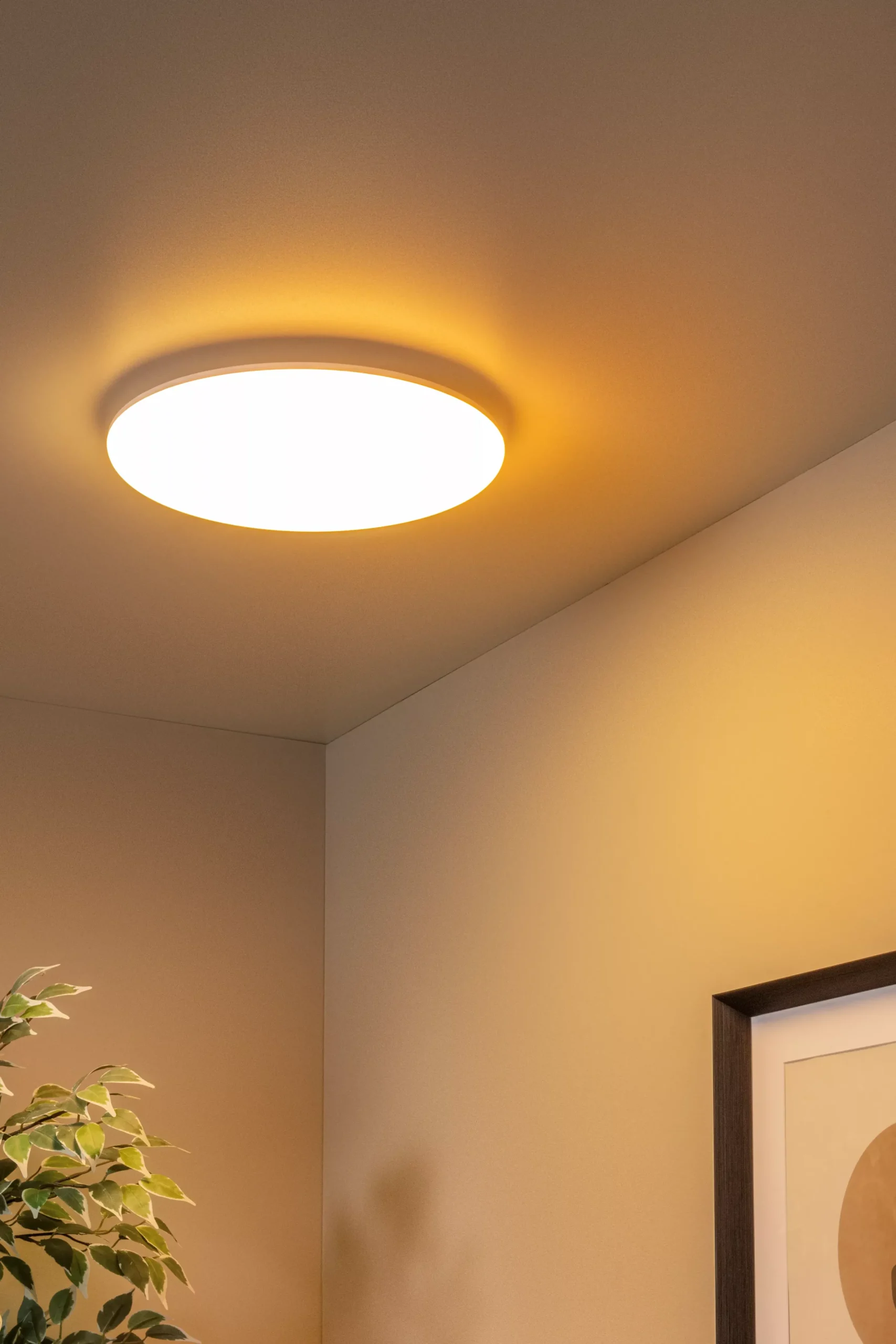 OLSON - Plafonnière - Ø 35 cm - LED Dimb. - CCT - 1x36W 3000K/6500K - Opaal*Lucide Shop