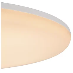 OLSON - Plafonnière - Ø 35 cm - LED Dimb. - CCT - 1x36W 3000K/6500K - Opaal*Lucide Shop