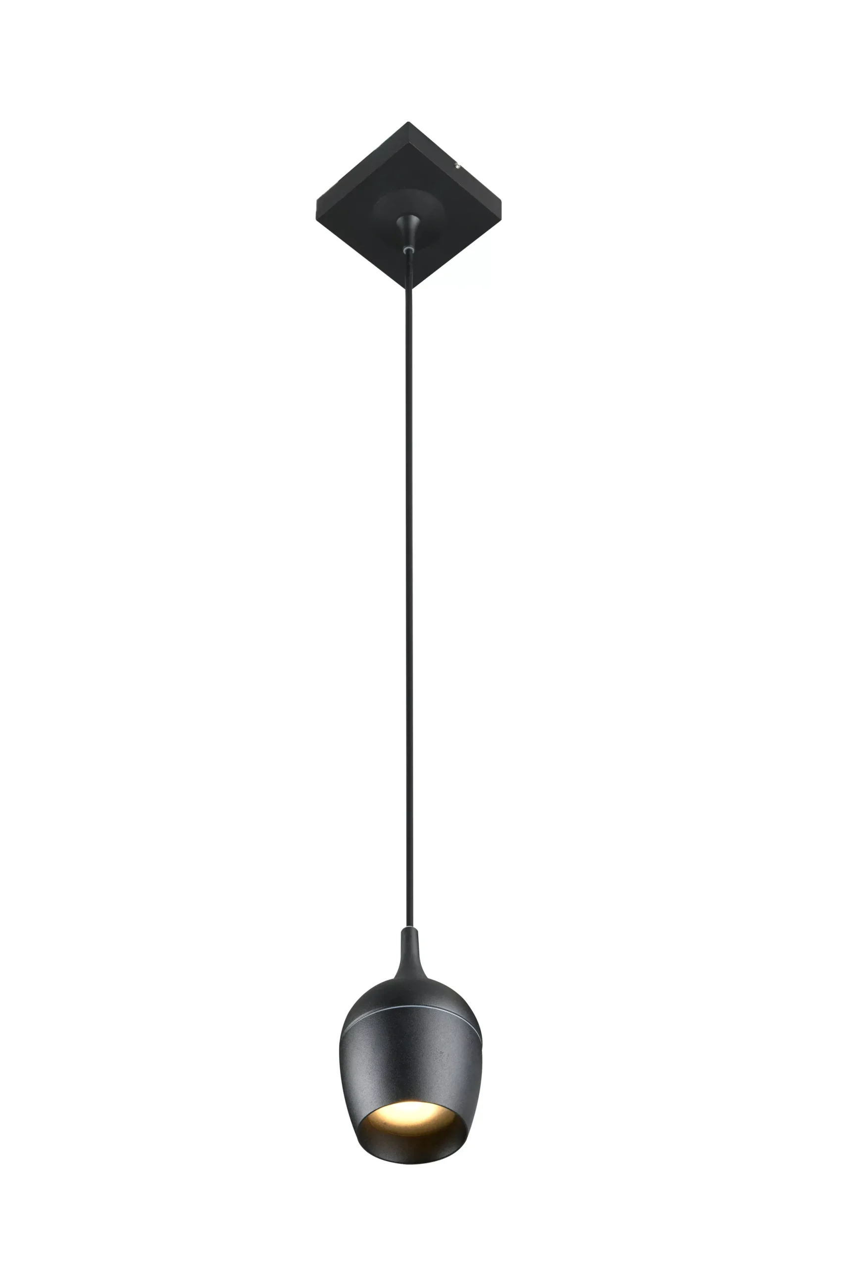 PRESTON - Hanglamp Badkamer - Ø 10 cm - 1xGU10 - IP44 - Zwart*Lucide Shop