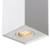 TUBE - Plafondspot - 1xGU10 - Wit*Lucide Shop
