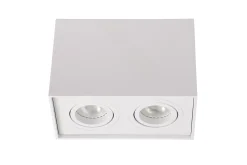 TUBE - Plafondspot - 2xGU10 - Wit*Lucide Shop